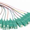 סט פיגטייל אופטי, 12 צבעים SC/UPC OM3 1M