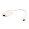 כבל MINI DP זכר- HDMI נקבה 0.2מ, אקונומי